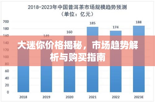 大迷你价格揭秘，市场趋势解析与购买指南