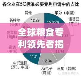 全球粮食专利领先者揭秘，各国排名前十解析