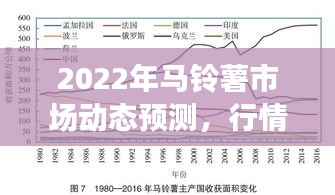 2022年马铃薯市场动态预测，行情趋势分析与影响因素探讨