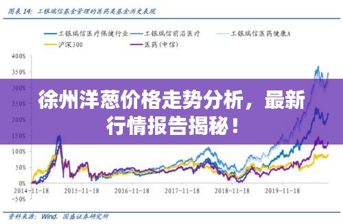 徐州洋葱价格走势分析，最新行情报告揭秘！