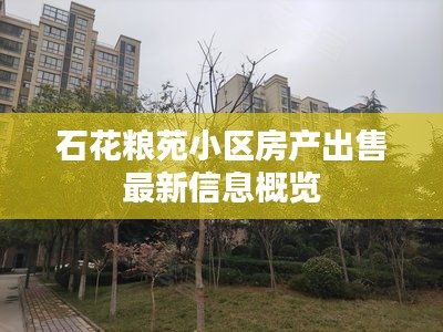 石花粮苑小区房产出售最新信息概览