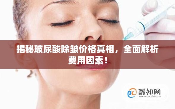 揭秘玻尿酸除皱价格真相，全面解析费用因素！