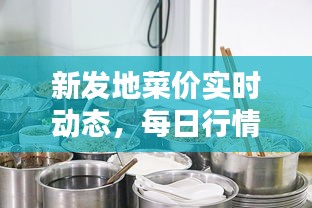 新发地菜价实时动态，每日行情深度报告