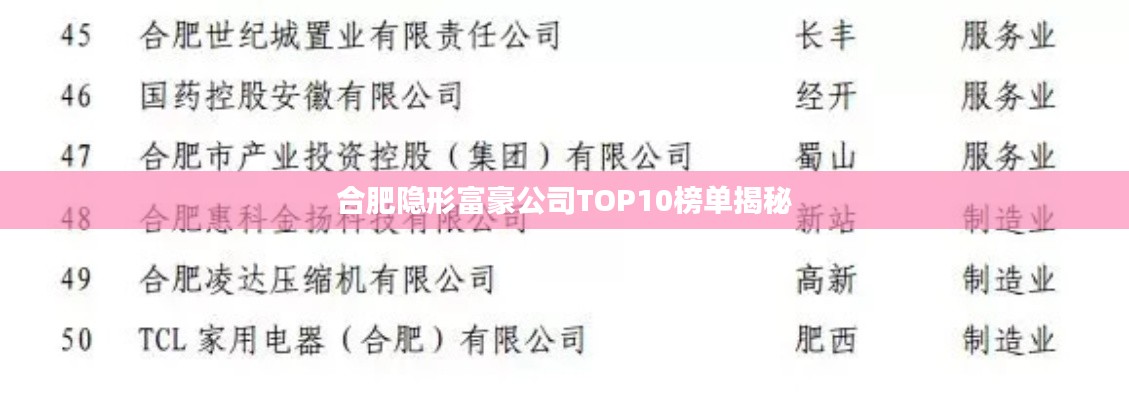 合肥隐形富豪公司TOP10榜单揭秘