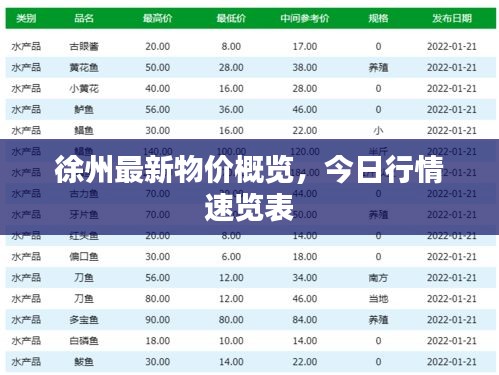 徐州最新物价概览，今日行情速览表