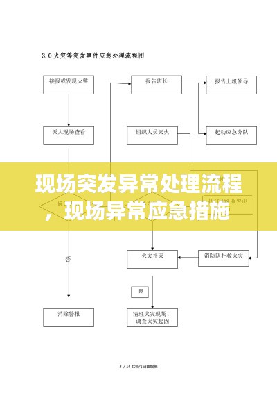 现场突发异常处理流程，现场异常应急措施 