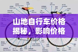 山地自行车价格揭秘，影响价格的关键因素