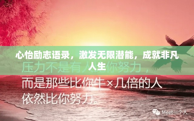 心怡励志语录，激发无限潜能，成就非凡人生