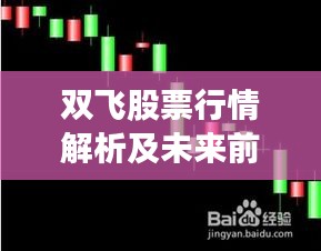 双飞股票行情解析及未来前景展望