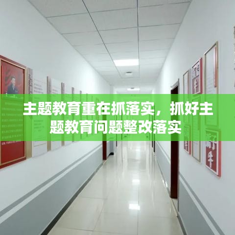 主题教育重在抓落实，抓好主题教育问题整改落实 