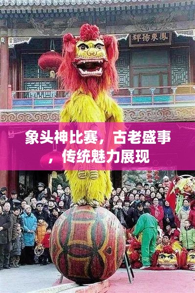 象头神比赛，古老盛事，传统魅力展现