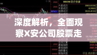 深度解析，全面观察X安公司股票走势与前景展望