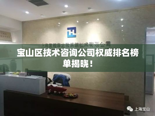 宝山区技术咨询公司权威排名榜单揭晓！