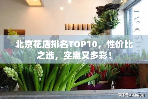 北京花店排名TOP10，性价比之选，实惠又多彩！