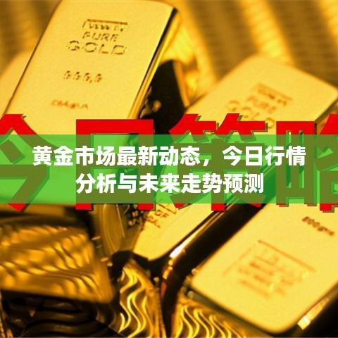 黄金市场最新动态，今日行情分析与未来走势预测