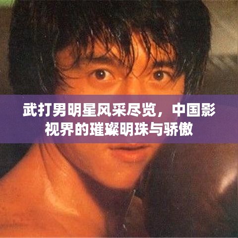 武打男明星风采尽览，中国影视界的璀璨明珠与骄傲