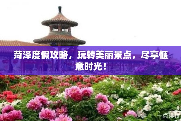 菏泽度假攻略，玩转美丽景点，尽享惬意时光！