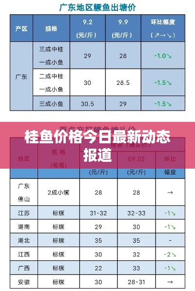 桂鱼价格今日最新动态报道