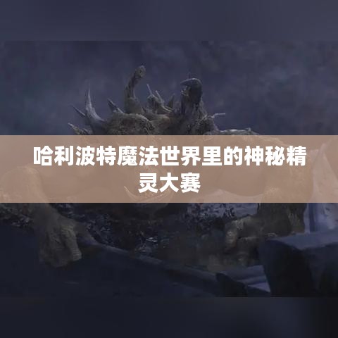 哈利波特魔法世界里的神秘精灵大赛