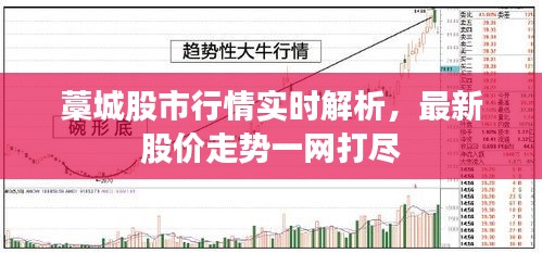 藁城股市行情实时解析，最新股价走势一网打尽