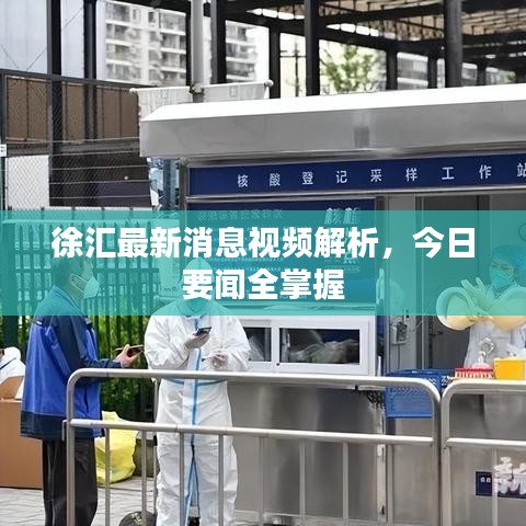 徐汇最新消息视频解析，今日要闻全掌握