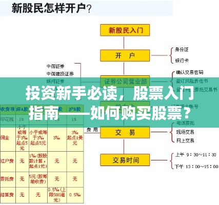 投资新手必读，股票入门指南——如何购买股票？