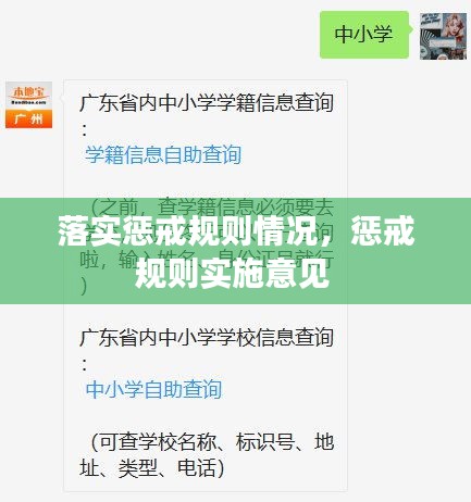 落实惩戒规则情况，惩戒规则实施意见 