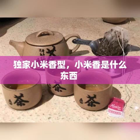 独家小米香型，小米香是什么东西 