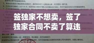 签独家不想卖，签了独家合同不卖了算违约吗 