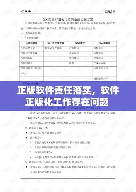 正版软件责任落实，软件正版化工作存在问题 