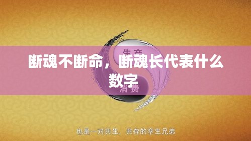 断魂不断命，断魂长代表什么数字 