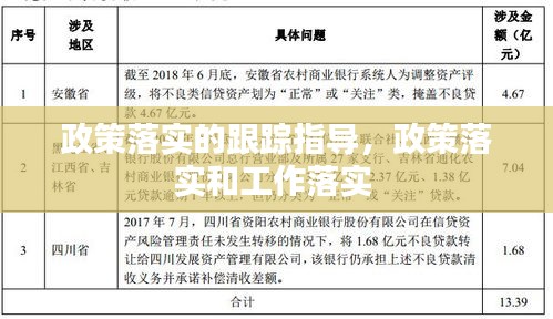 政策落实的跟踪指导，政策落实和工作落实 