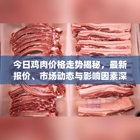 今日鸡肉价格走势揭秘，最新报价、市场动态与影响因素深度剖析