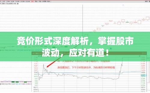 竞价形式深度解析，掌握股市波动，应对有道！