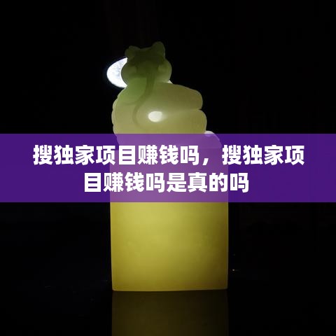 搜独家项目赚钱吗，搜独家项目赚钱吗是真的吗 