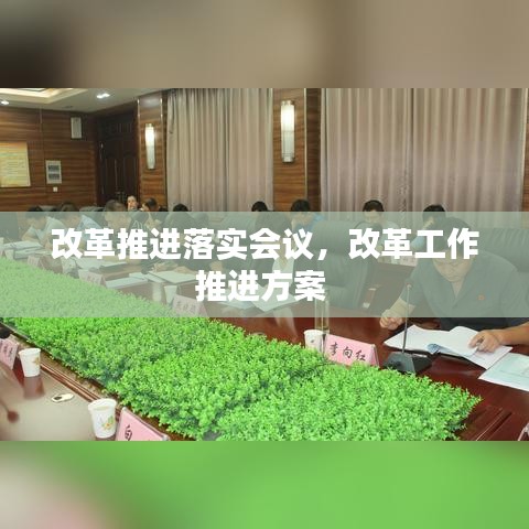 改革推进落实会议，改革工作推进方案 